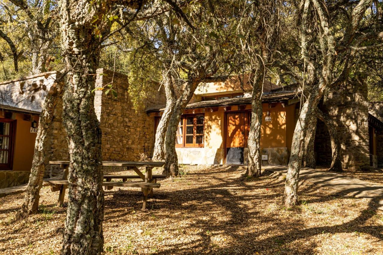 Albergue Inturjoven Cortes De La Frontera Ngoại thất bức ảnh